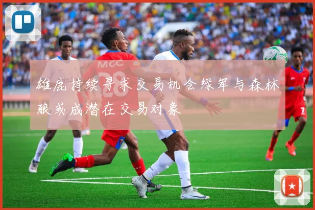 雄鹿持续寻求交易机会绿军与森林狼或成潜在交易对象