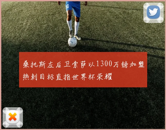 桑托斯左后卫索萨以1300万镑加盟热刺目标直指世界杯荣耀